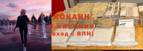 сатива Дмитриев