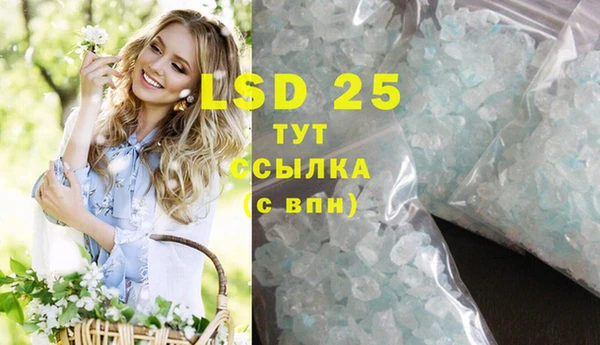 ПСИЛОЦИБИНОВЫЕ ГРИБЫ Дмитров