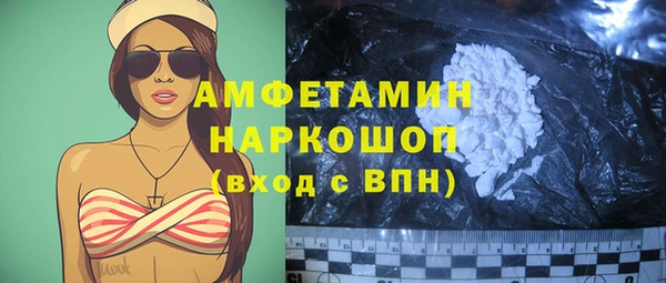 амф Елизово