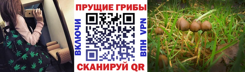 это официальный сайт  Новомосковск  Галлюциногенные грибы прущие грибы 